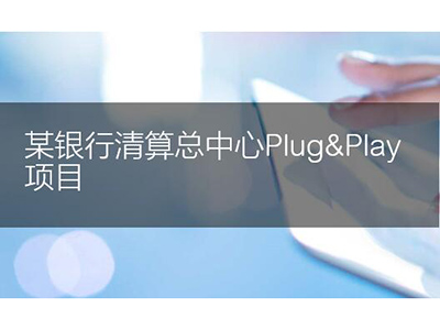 某銀行清算總中心Plug&Play項目